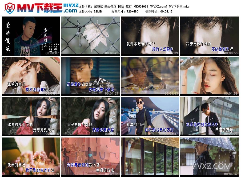 纪晓斌-爱的傻瓜_国语_流行_MD501099